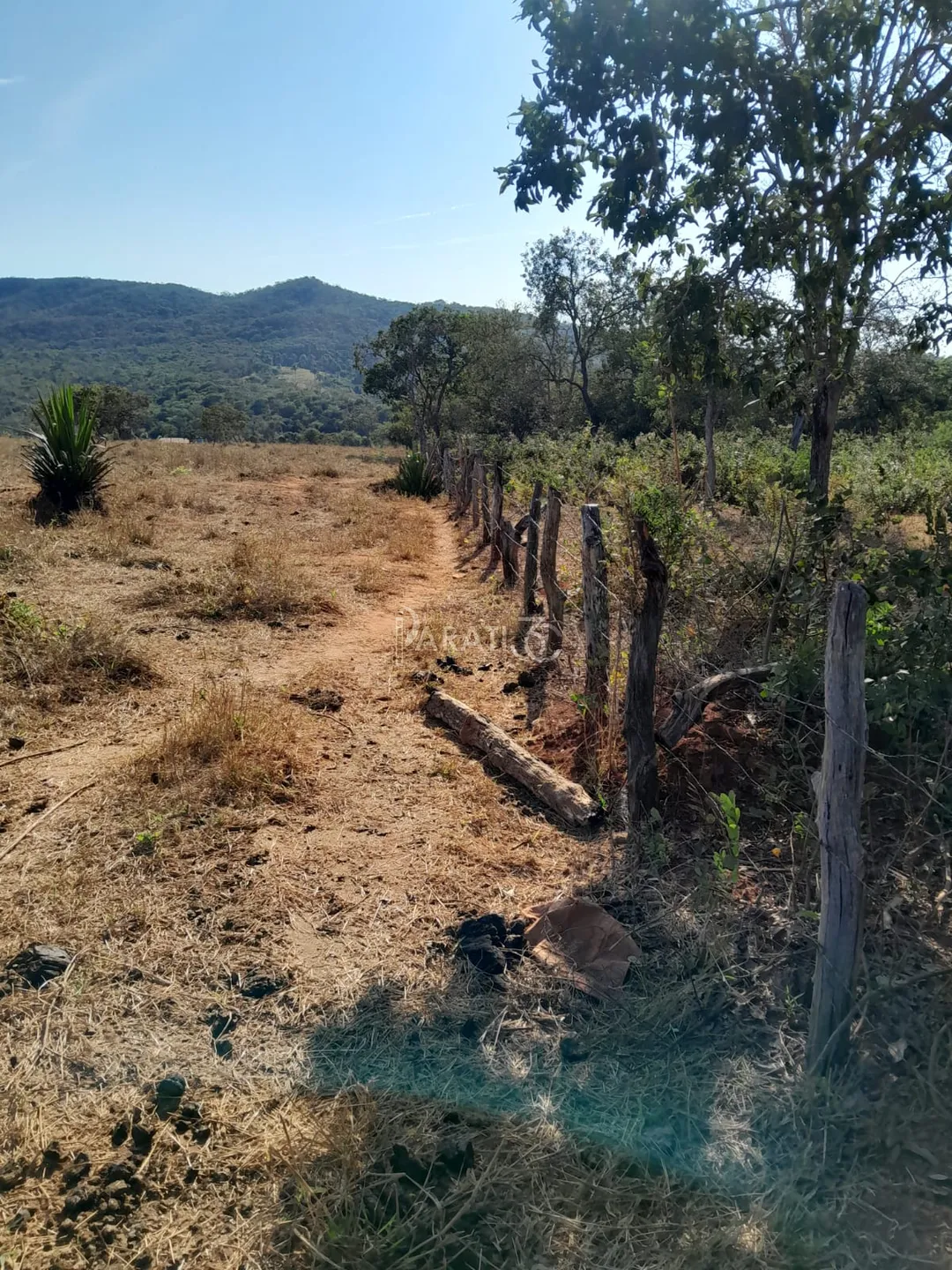 Chácara à venda em Três Ranchos