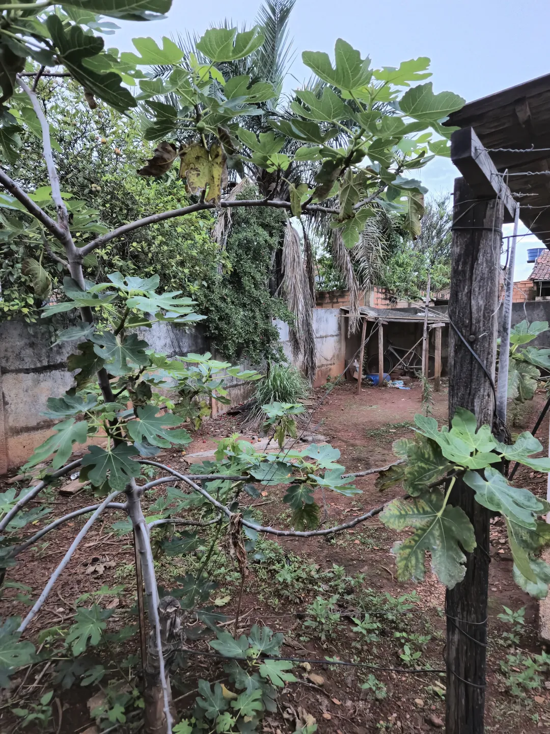 Casa à venda no bairro Ipanema